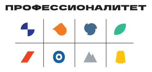 Профессионалитет